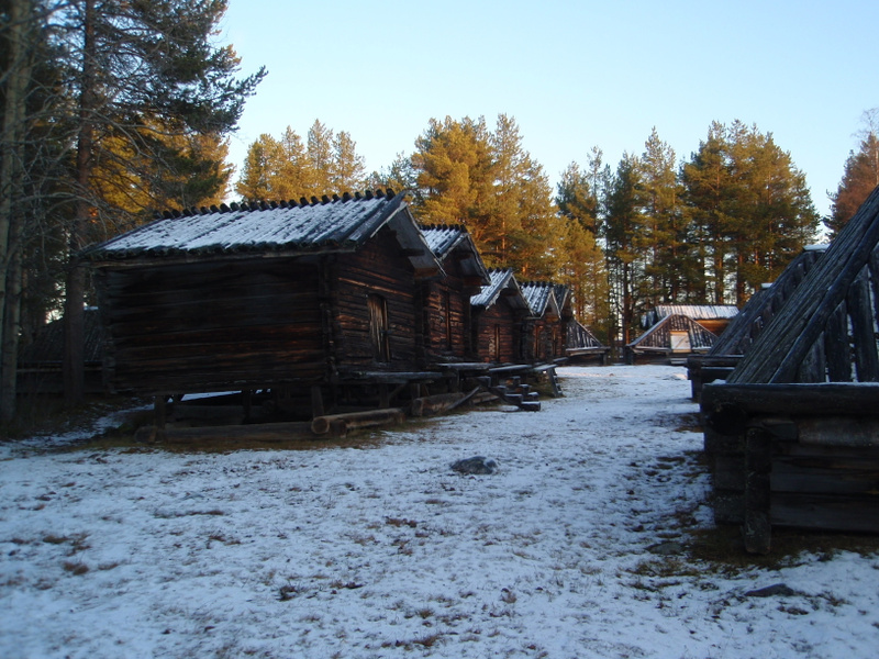 Internationella sömndagen och källkritik i fokus – så blir fredagen