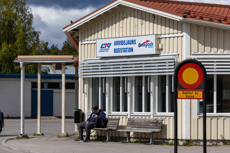Super Mario-dagen och V8-motorns dag firas idag