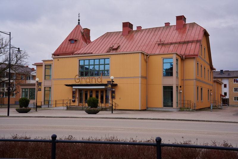 Kultur, temadagar och världsläget i fokus