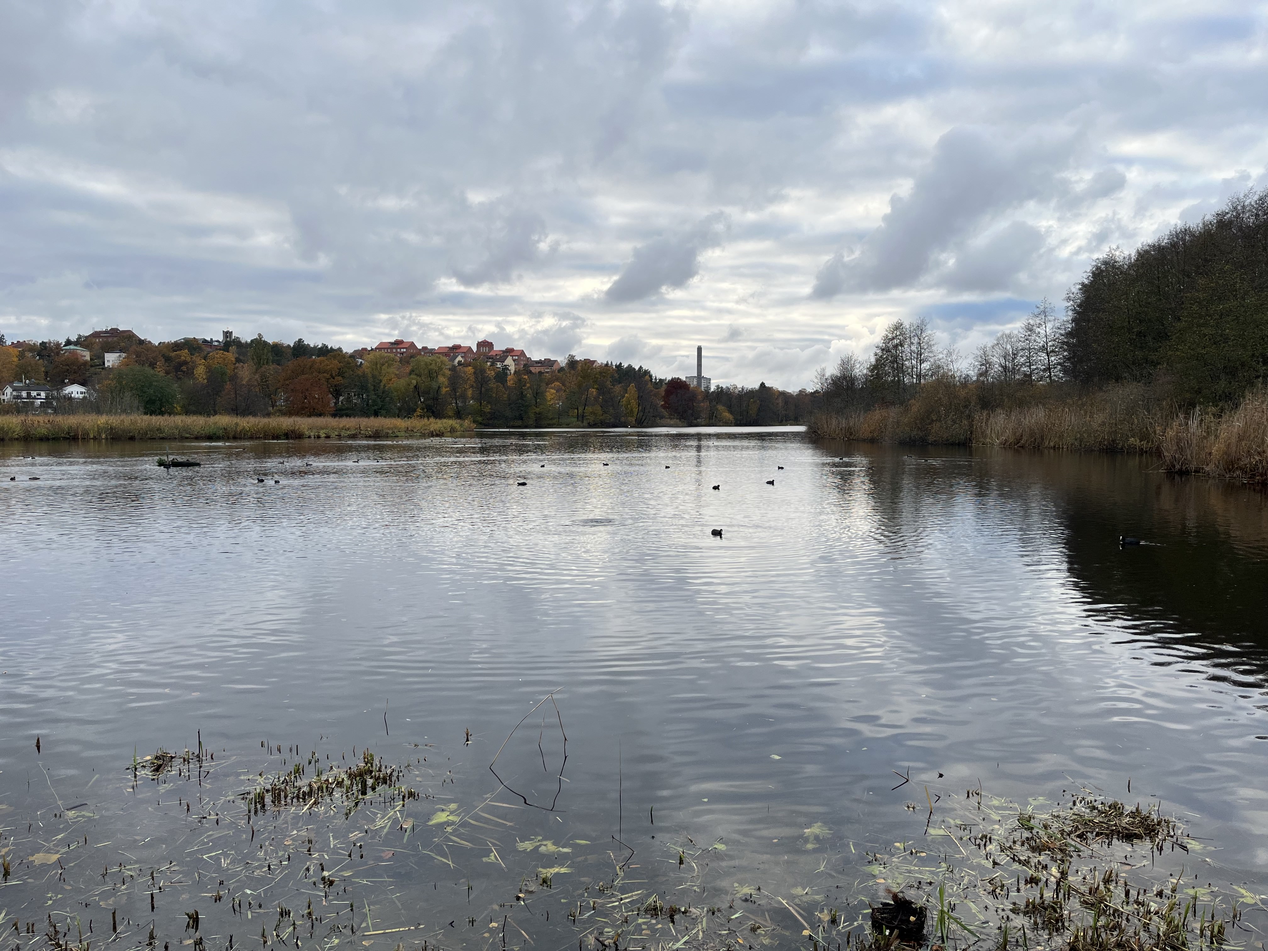 Tjugondag jul och aktuella händelser i Solna