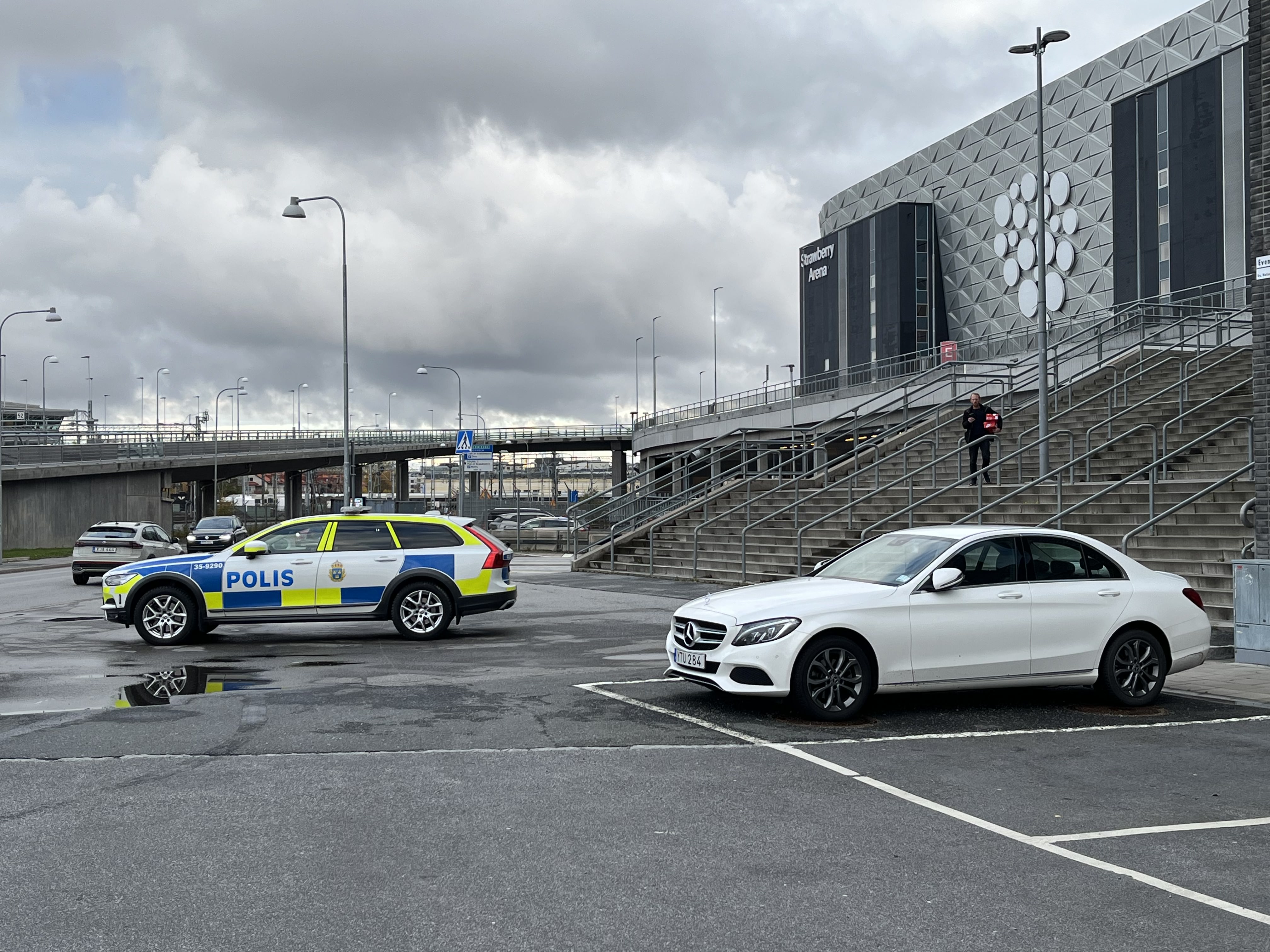 Världsdagen för natur- och djurliv och musikalisk frihet uppmärksammas