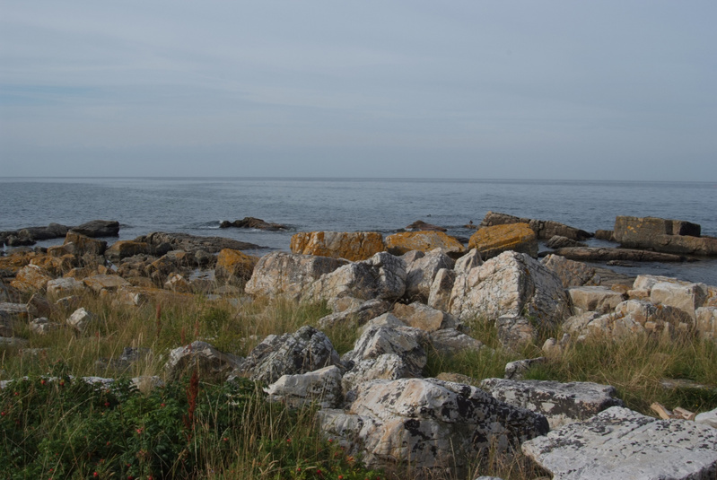 Världsdagen för social rättvisa och kyligt vinterväder