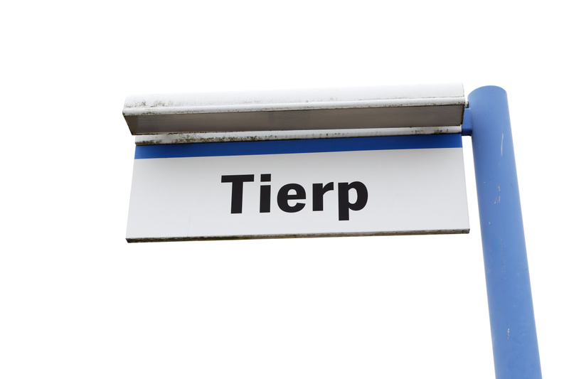 Kallt och klart – Knäckebrödets dag och höga elpriser