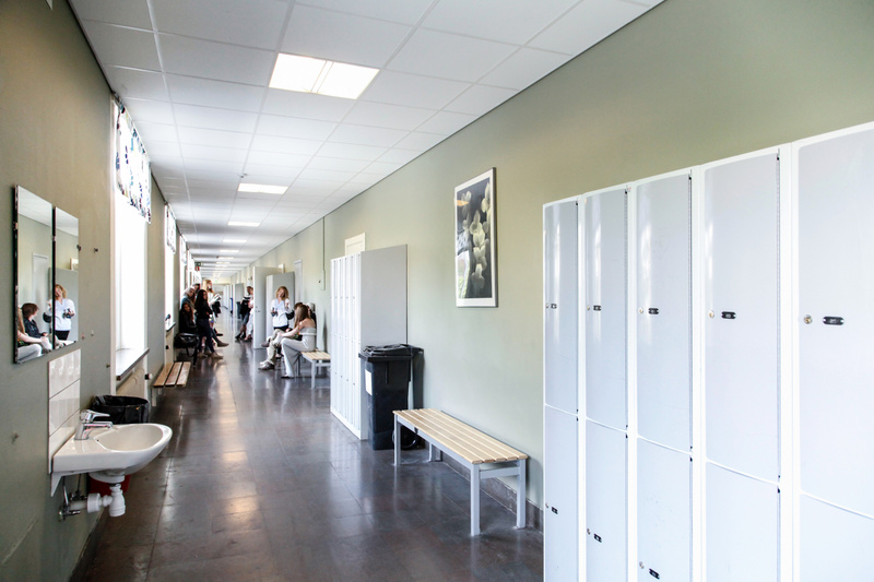 Samebyar överklagar Rally-VM i Umeå på grund av renar