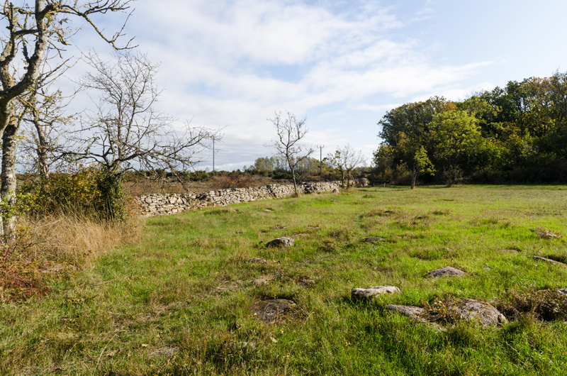 Botkyrka antar nytt parkprogram