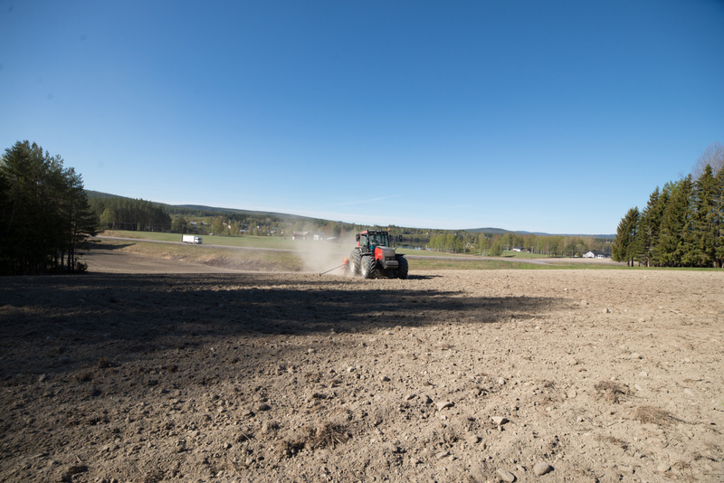 Lantmännen tredjefavorit i Lynxeye Purpose Index 2026 – topplacering för fjärde året i rad