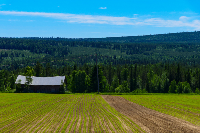 Föreläsning om jord, kompost och hållbar odling