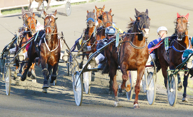 En bild som visar flera hästar och kuskar under ett travlopp. Hästarna syns i full fart på en sandbana, med grus som stänker upp från hovarna och kärrhjulen. Flera kuskar är synliga, var och en sittande i en sulky bakom sin häst. Hästarna har variera