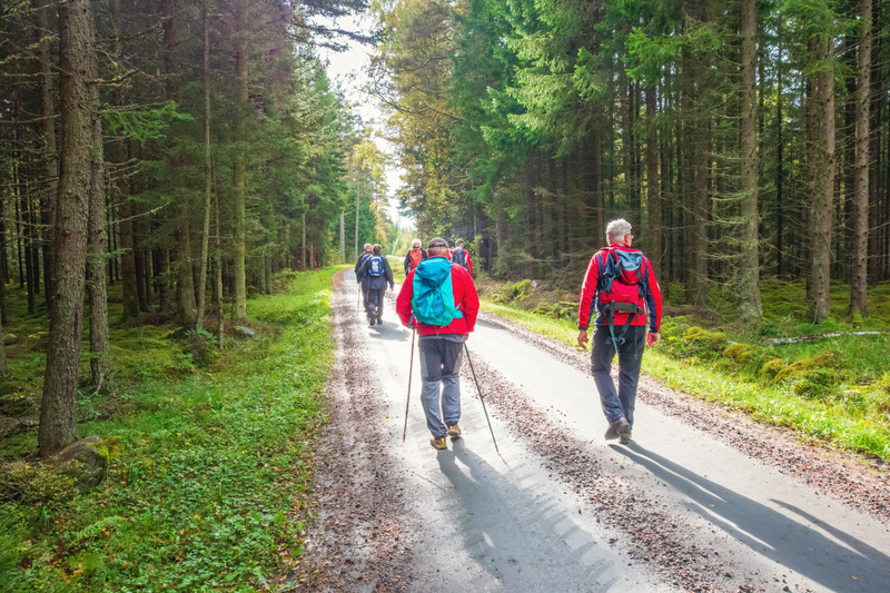 Vandring från Fågelsången till Bräningeviken