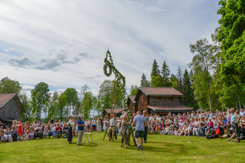 Bilden visar ett utomhusarrangemang på en gräsyta med ett stort antal människor samlade, de flesta sittande på marken. I förgrunden och mitten av bilden håller flera vuxna personer på att resa en lång grönt dekorerad stång, sannolikt en midsommarstån