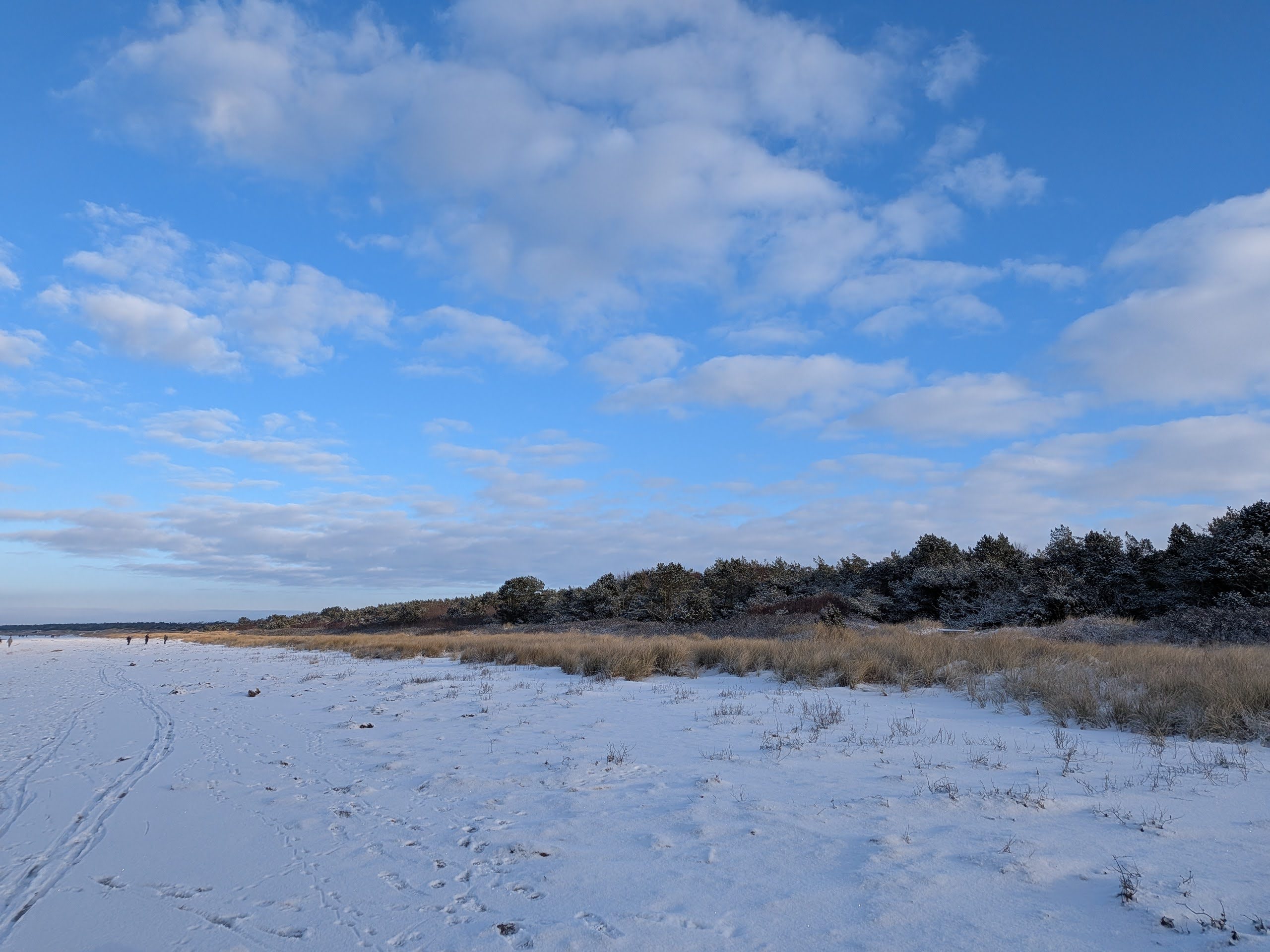 Vinterväder och kulturaktiviteter i fokus i Ängelholm