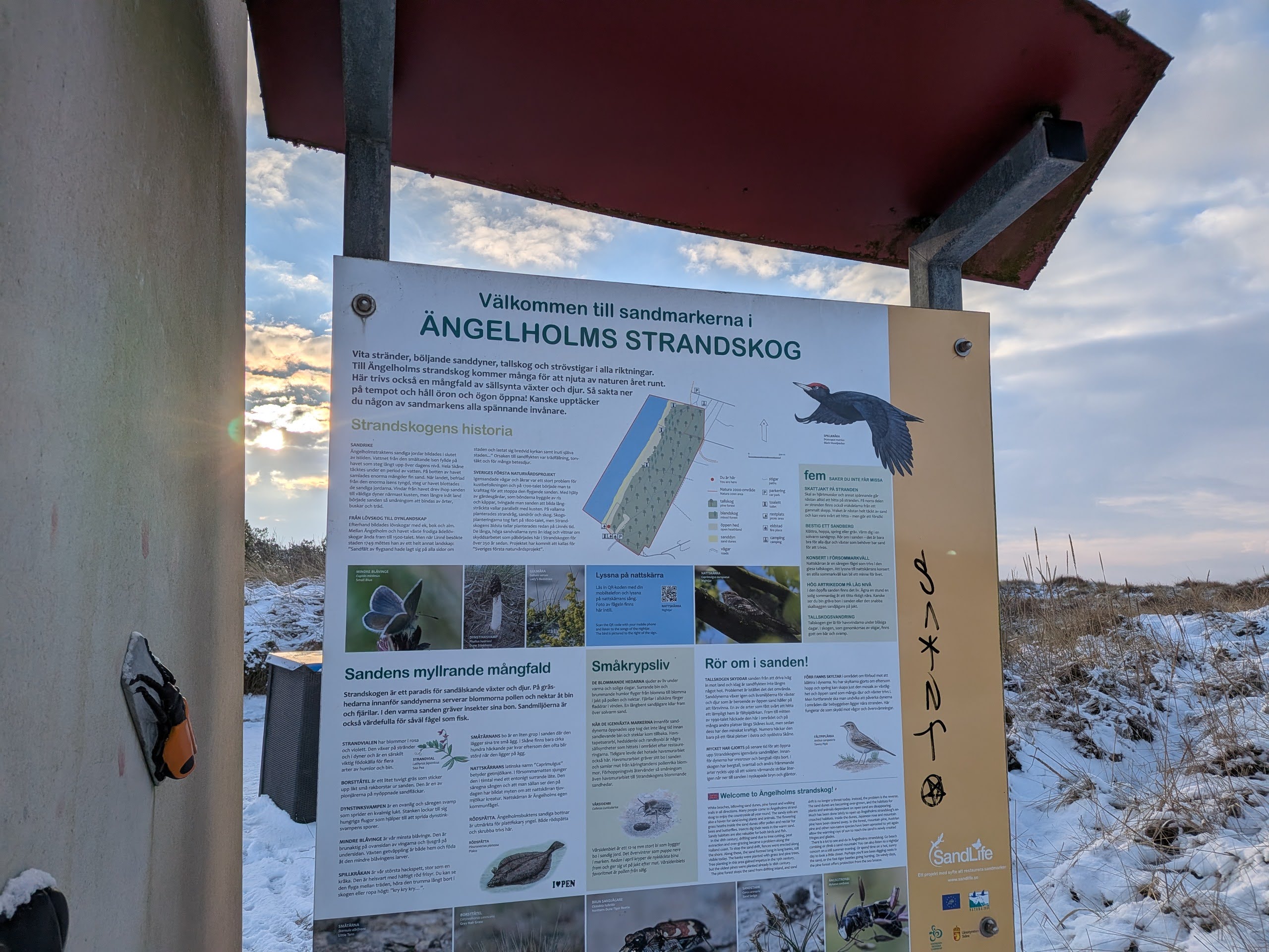 Skogens dag och hållbar matlagning i fokus idag