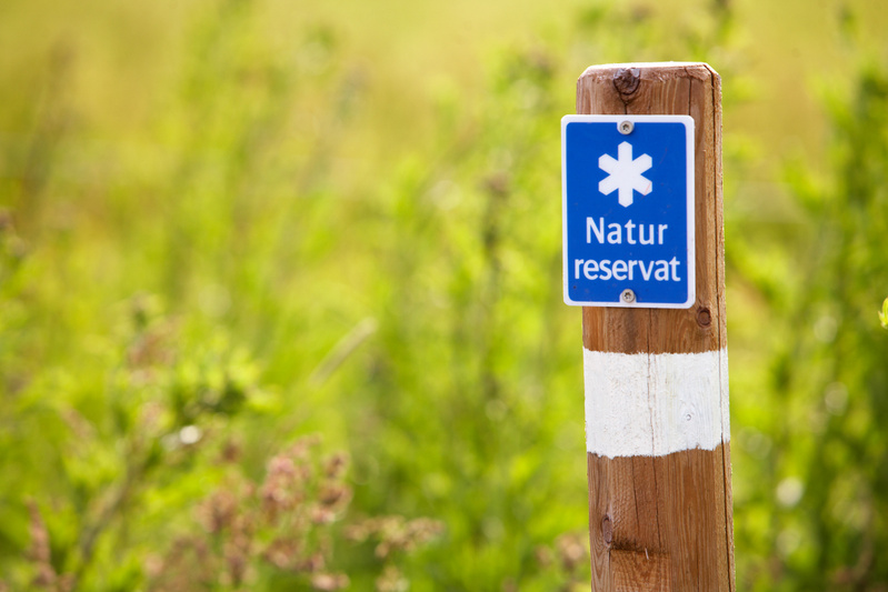 Gotland stödjer nytt naturreservat vid Ockesänget