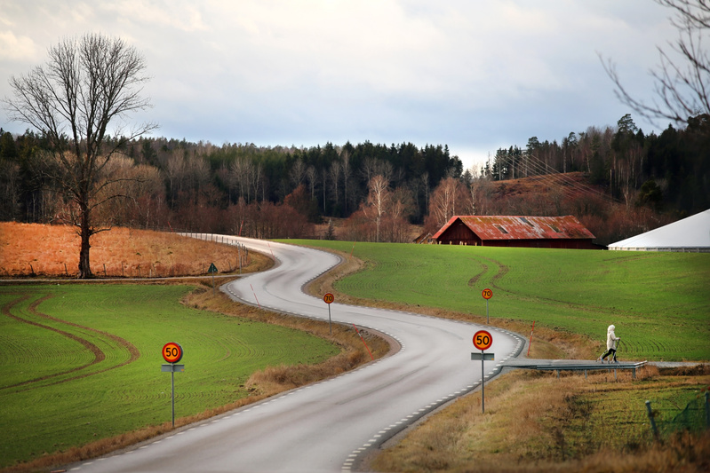Bilden visar en slingrande asfalterad väg med vita kantmarkeringar som sträcker sig genom ett landskap. Vid vägens sidor finns gröna fält med spårmärken och dödare, brungul vegetation. Till vänster i förgrunden står ett stort, lövfritt träd och i bakgrunden syns en skog med både barrträd och lövträd. En röd lada med korroderat tak är placerad mellan fälten och skogen. En person i ljusa kläder syns gå på en vägkant strax före ladugården. Ett stort, vitt tält eller en byggnad med ett sluttande vitt tak kan anas till höger om ladugården. Vägmärken för hastighetsbegränsning på 50 km/h och 70 km/h är utplacerade längs vägen. Himlen är mulen med ljusare partier.