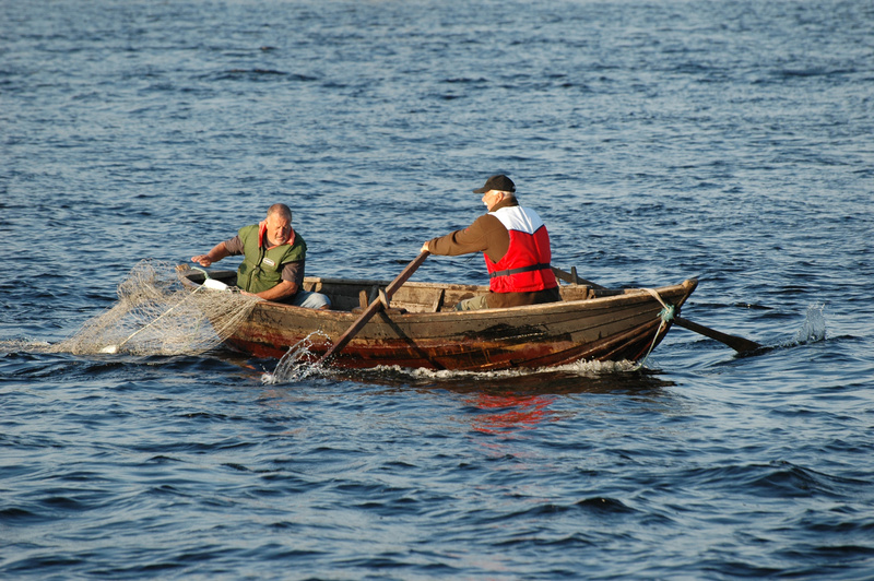 Den blå färden – en filmisk odyssé genom Amazonas