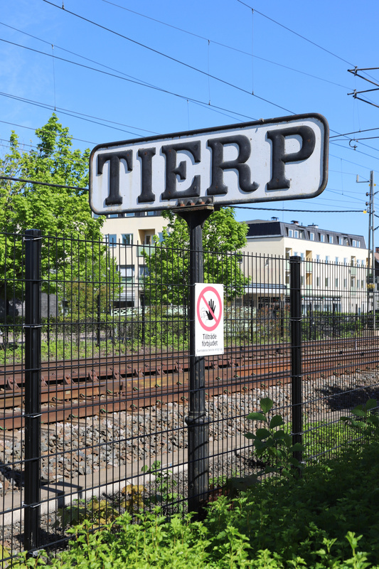 Grapefruktens dag och aktuella världshändelser