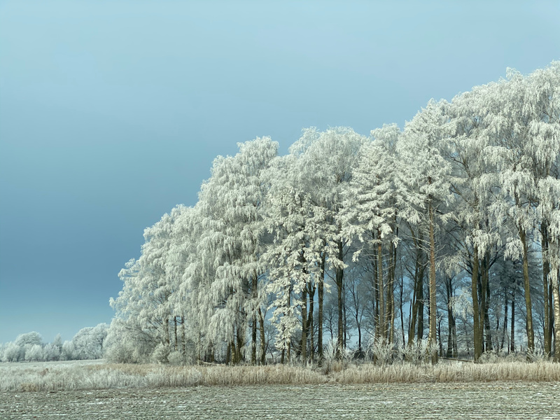 Orange varning för kraftigt snöfall i sydöstra Skåne