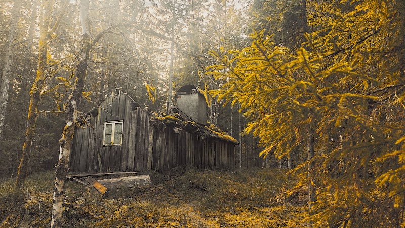 AI-stöd införs för dokumentation inom socialförvaltningen i Gislaved