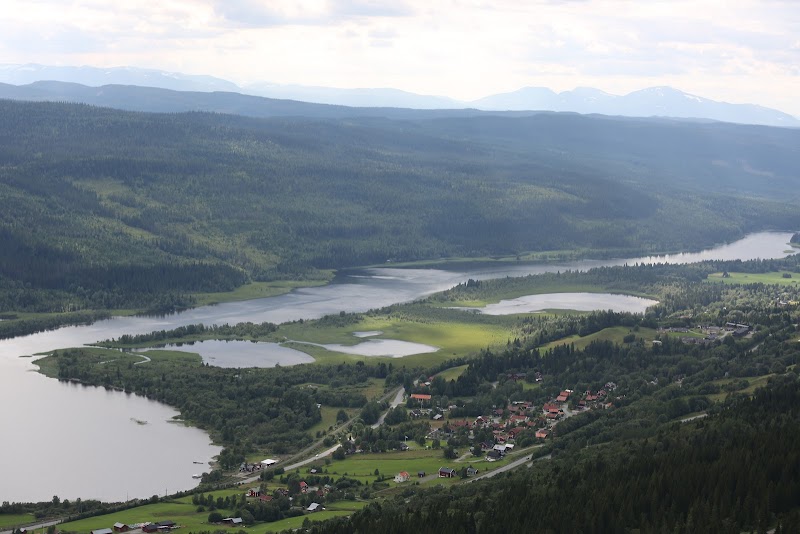 Embodied Activation – Life Force Activation