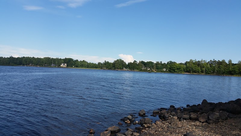 Tobias Hultbäck AB i konkurs med konsultverksamhet