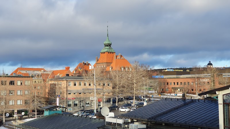 Förhöjda cesiumhalter i insjöfisk i Jämtlands län