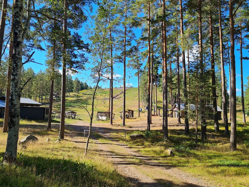 Elens dag och aktuellt väder i Nybro