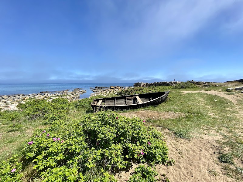 Provbad i nyrenoverat badhus och Elens dag uppmärksammas