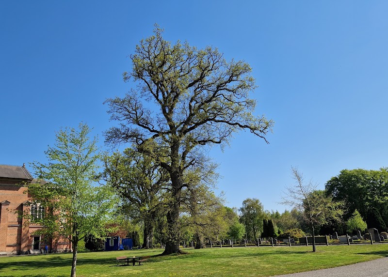 Två bilar krockade på E65 vid Marsvinsholm – trafikstopp i båda riktningarna