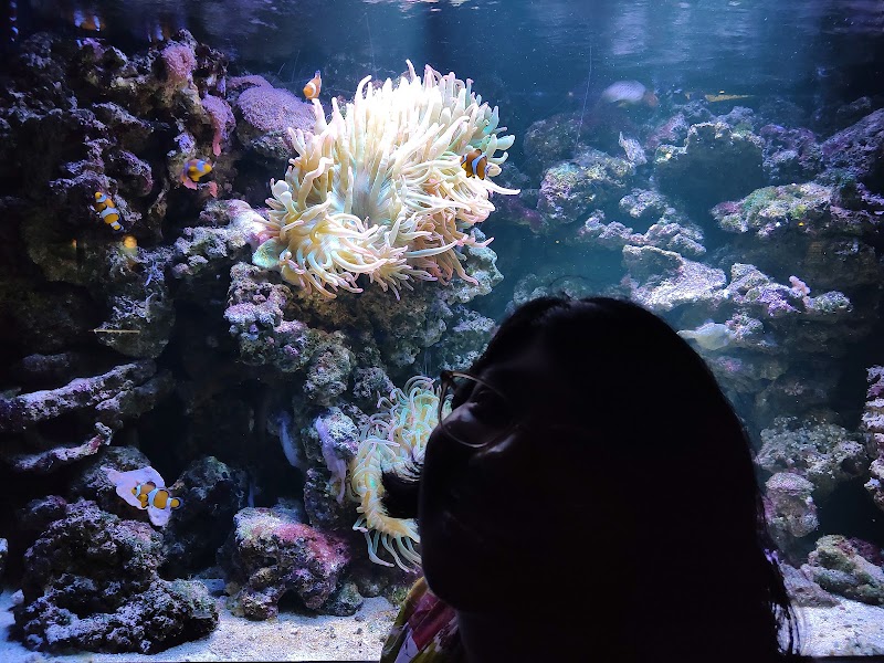 Prinsessan Estelle och prins Oscar lagar julmat på Haga slott