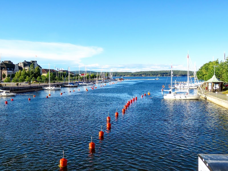 Expedition vildmark – kända deltagare utmanas i svensk natur
