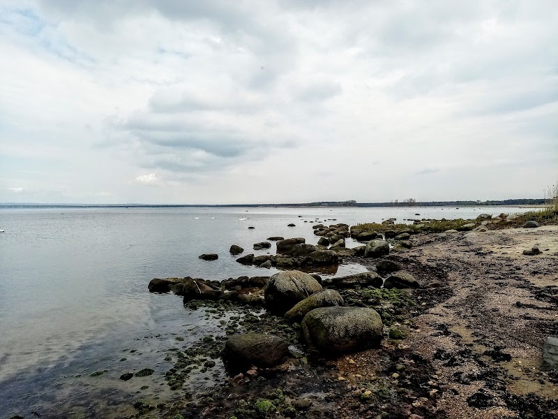 Bil körde in i Kenny Jönssons trädgård i Ängelholm
