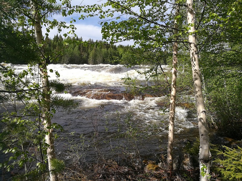 Bil körde av vägen på väg 363 utanför Vindeln – en person till sjukhus