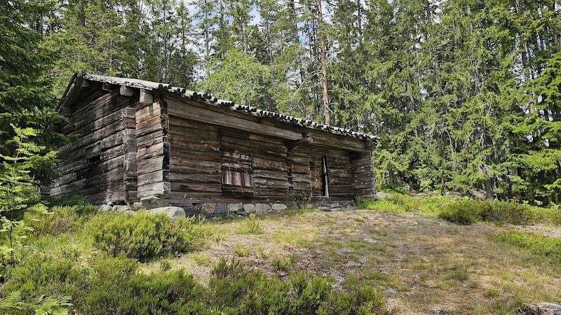 Nybörjartäljning för daglediga