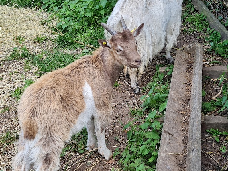 Studiecirkel för att minnas Åkermans Verkstad