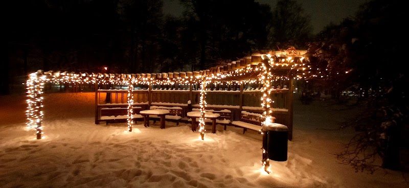 Adrian Carnebo lämnar Östersund för Nybro Vikings