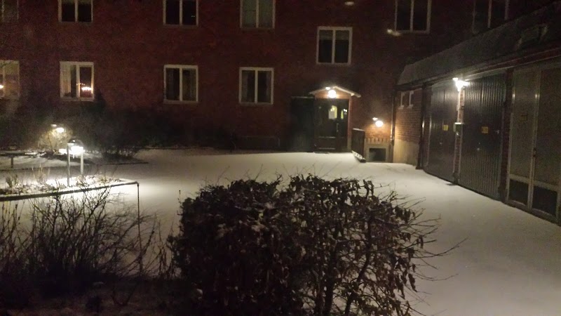 Ökad råttproblematik vid Esplanaden i Huskvarna