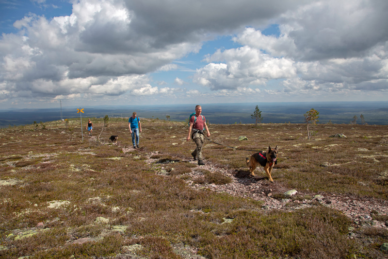 Seniorkul 65+ i Lima-Sälen