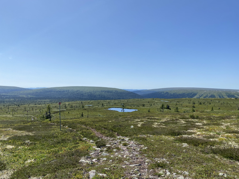 Bilden visar ett landskap med vida öppna ytor och en klarblå himmel. Förgrunden består av grön vegetation med inslag av stenar och en ojämn stig som löper genom bilden. Längre bort i landskapet syns små pölar eller tjärnar med vatten som speglar himl