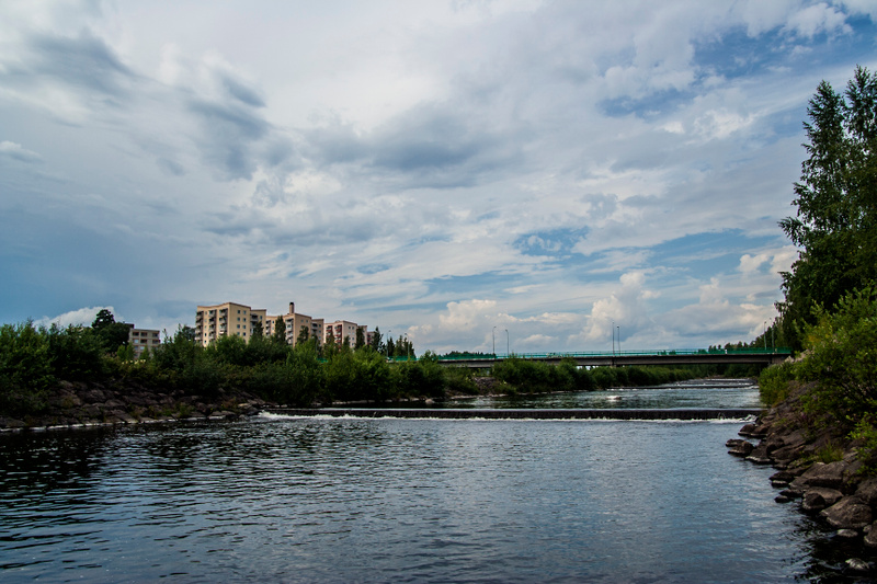 Fler katter registreras i Bollnäs och Ovanåker efter nya ID-krav