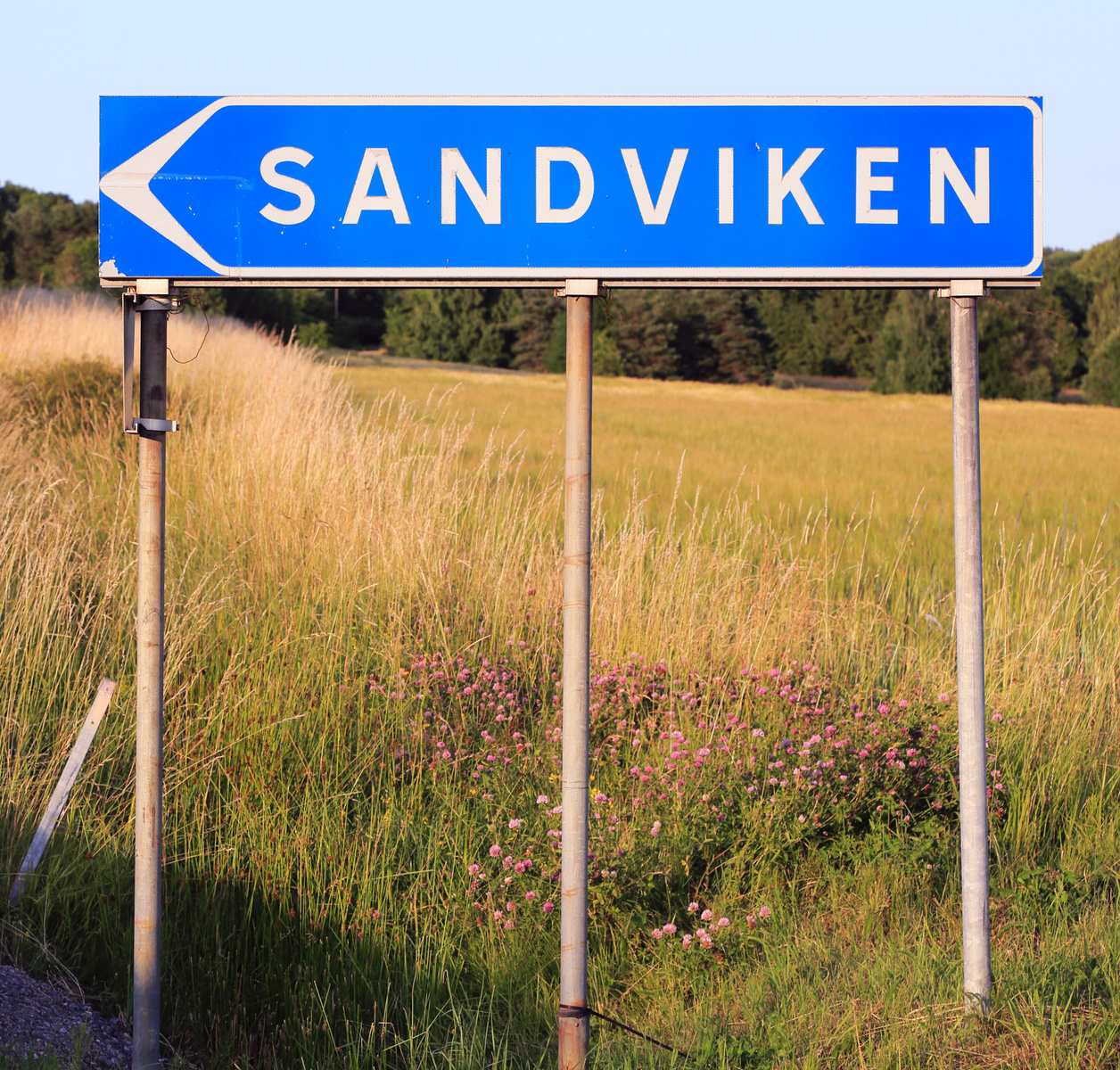 En blå skylt med texten "SANDVIKEN" i vitt och en vit pil som pekar åt vänster. Skylten är monterad på två metallstolpar och står i ett fält med långt gräs och en del rosa blommor. I bakgrunden syns skog och en ljus himmel. Gräset är övervägande torr