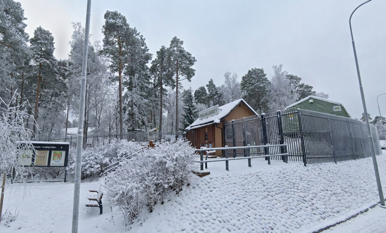 Sportlov på Torekällberget