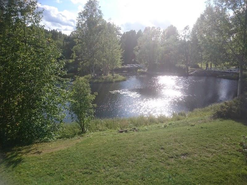 Lycksele Socialnämnden: insatser utan behovsprövning