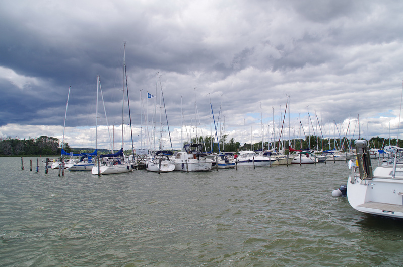 Solig tisdag och Super Mario-dagen – tips på kommande evenemang