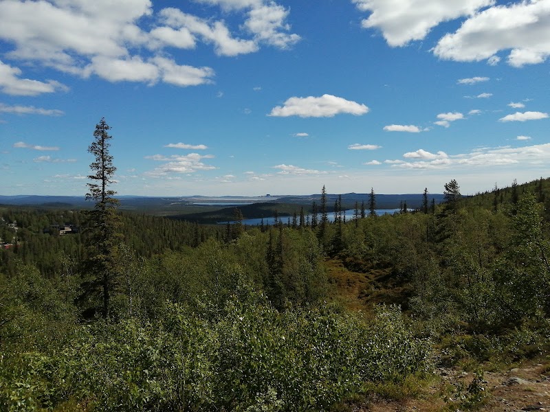 Sportlov i Gällivare – aktiviteter för hela familjen