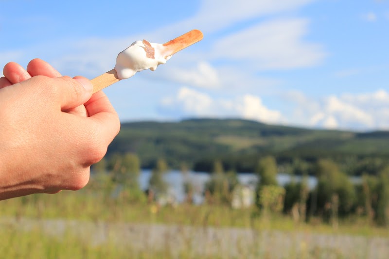 Utbildningsdag i Krokom fokuserade på tidiga insatser för barn