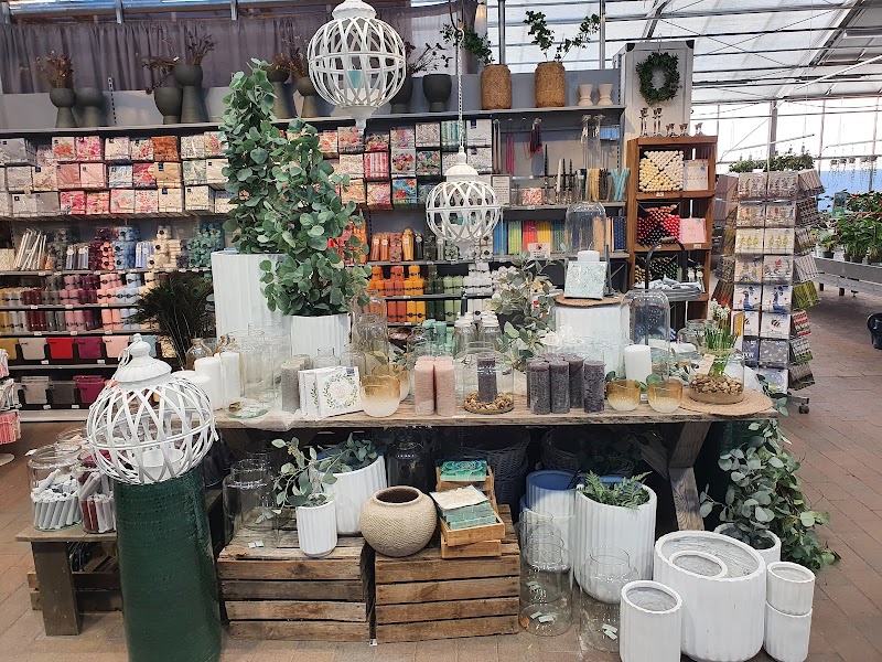 Almedalsveckan vinner Ekokommunpriset för hållbar flergångshantering