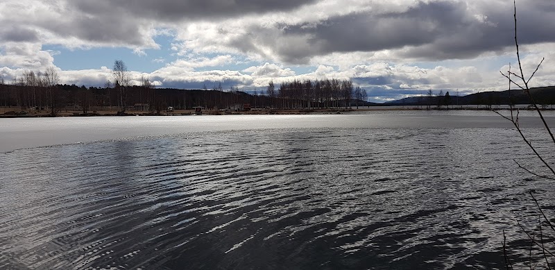 Polisen rapporterar om nattens trafikinsatser i Jämtlands län