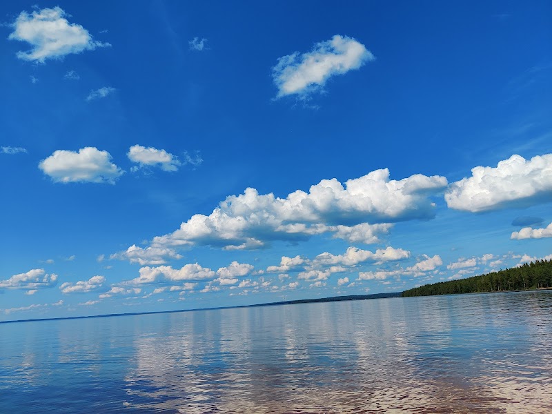 Konsert: Bo Linde och musikaliska förebilder