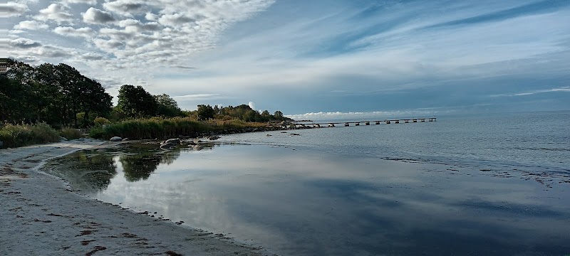 Skräckserien "Dunkel" visas i Sandviken – ny utställning av Max Björkman