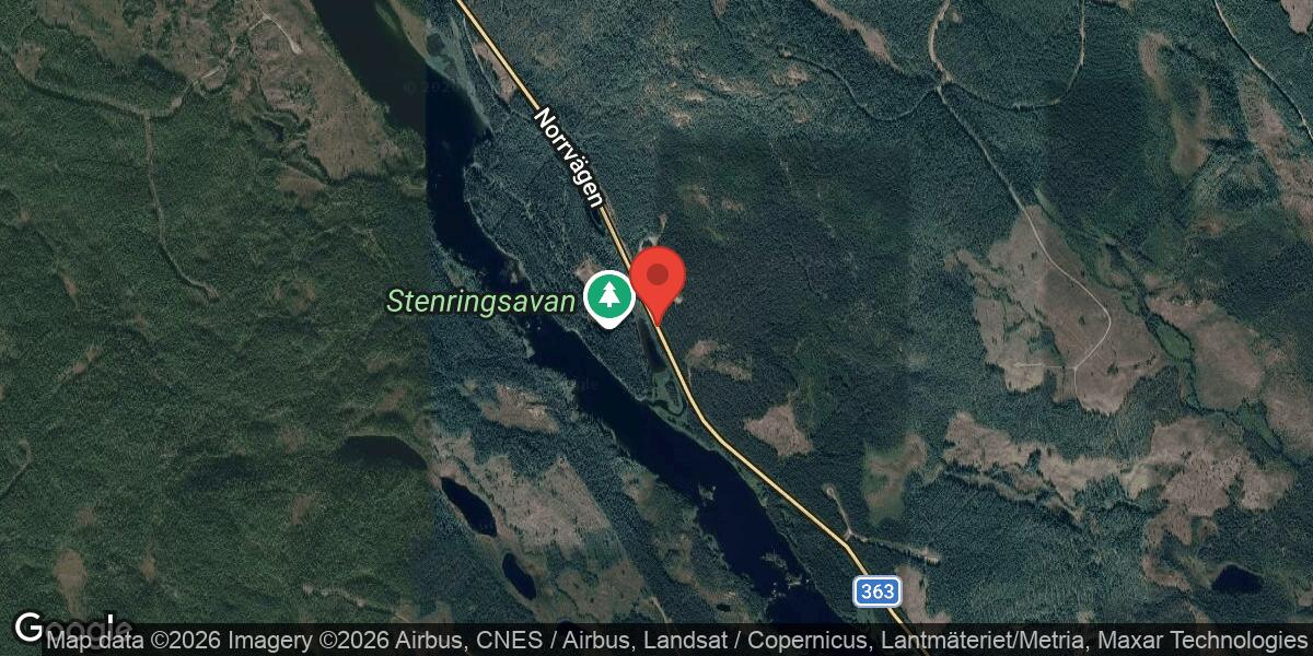 Viltolycka med älg och personbil på väg 363 norr om Björksele